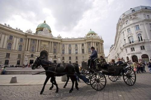 Photo: 
Sightseeing Horse Tours Vienna Austria