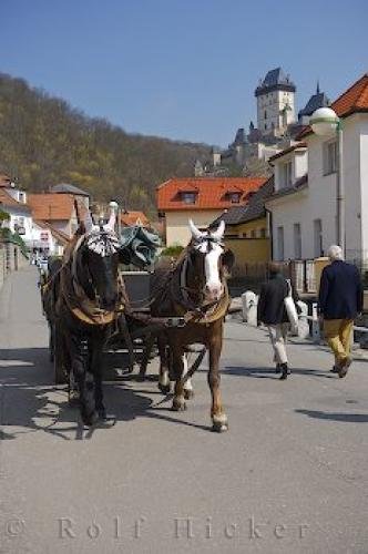 Photo: 
Horse Buggy Sightseeing Rides Karlstein Village