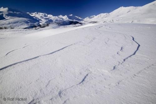 Photo: 
Snow Drift Mountain Scenery Yukon