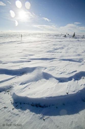 Photo: 
Snow Formation