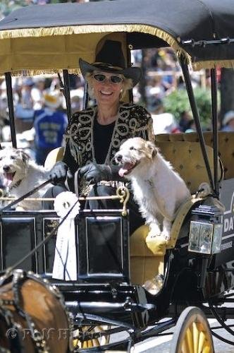 Photo: 
Stampede Parade