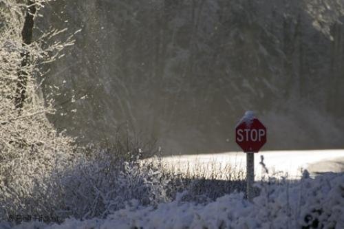 Photo: 
stop signs