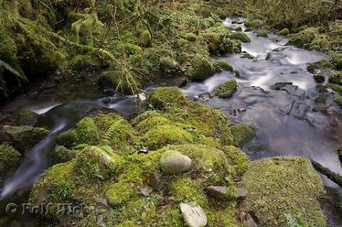 Photo: 
stream water