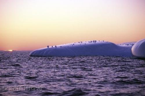 Photo: 
Sunset Iceberg