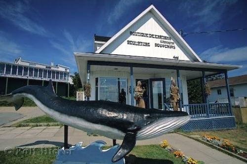 Photo: 
Tadoussac Quebec Souvenirs