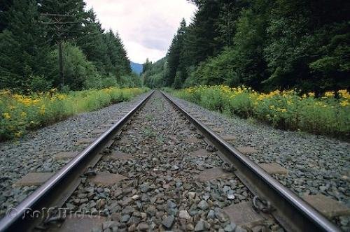 Photo: 
Train Tracks Canada