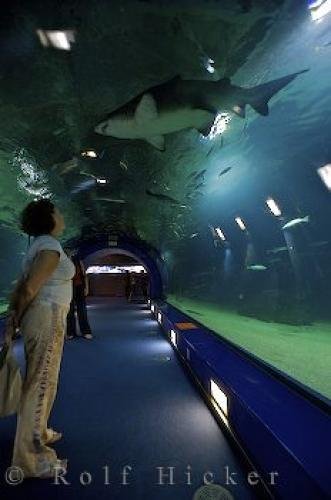 Photo: 
Underwater Tunnel