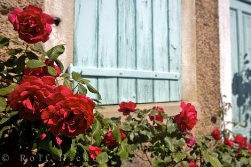 Photo: 
Villa Window Pont Du Loup Provence Picture