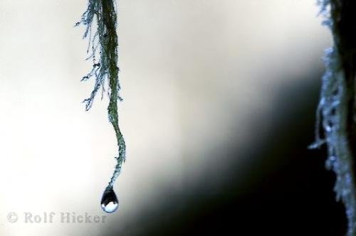 Photo: 
water droplets