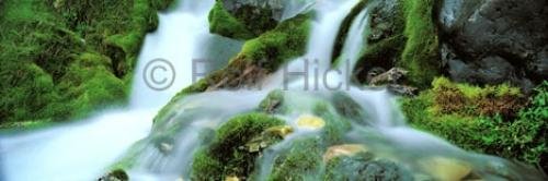 Photo: 
Panorama Vancouver Island Rainforest Pictures of Waterfalls