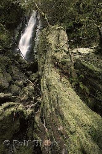Photo: 
waterfall washington