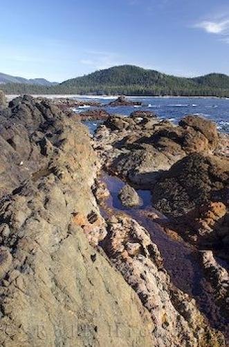 Photo: 
West Coast Vancouver Island