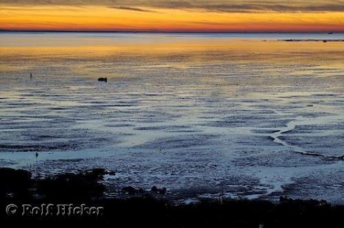 Photo: 
Willapa Bay