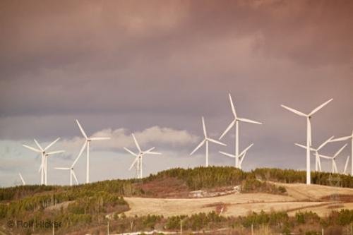 Photo: 
Windmills