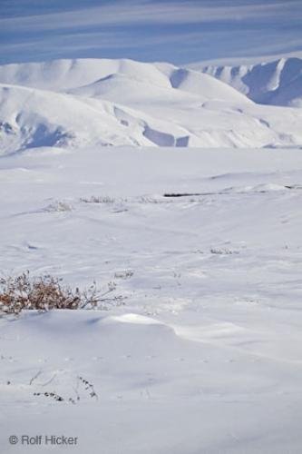 Photo: 
Winter Scene Alaska Arctic Slope