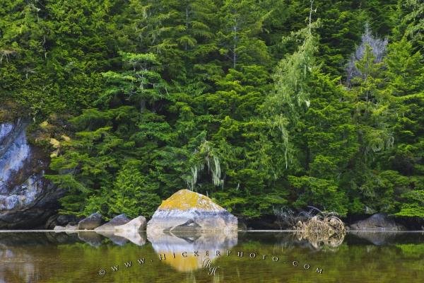 Photo: 
Great Bear Rainforest Reflections