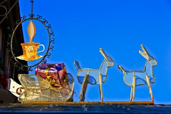 Photo: 
Christmas Reindeer Display Markets