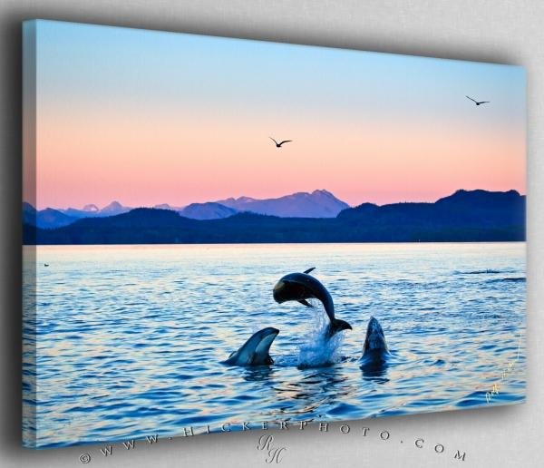 Photo: 
Jumping Dolphins at Sunset Canvas Fine Art Photo