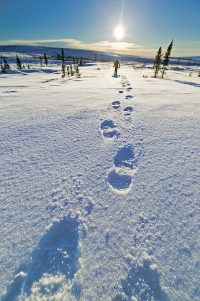 Photo: 
Footprints In The Snow