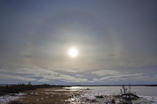 Photo: 
Winter Halo Around Sun Lake Iwago Churchill Manitoba