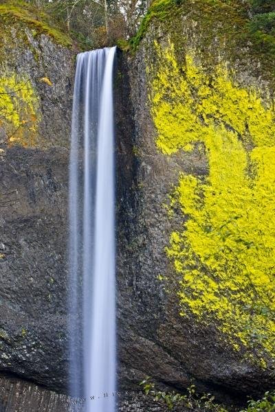 Photo: 
Latourell Falls Oregon USA