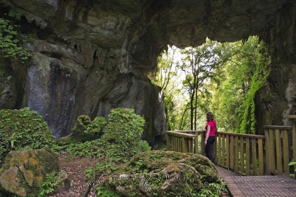 Photo: 
Mangapohue Natural Bridge Waikato