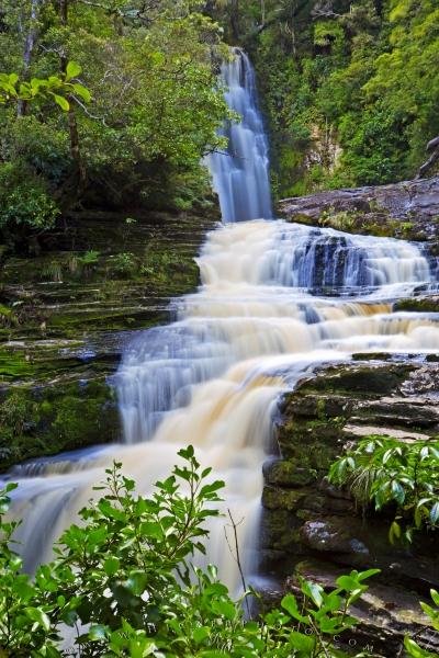 Photo: 
Forest Waterfall McLean Falls Catlins New Zealand