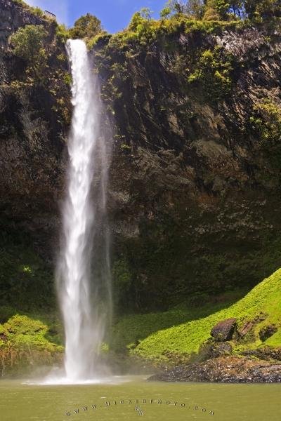 Photo: 
Bridal Veil Falls Waikato Waterfall North Island New Zealand