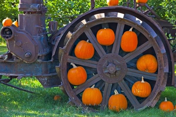 Photo: 
Orange Pumpkin Wheel Display Fall Picture