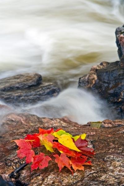 Photo: 
Red Fall Leaves Waterfall