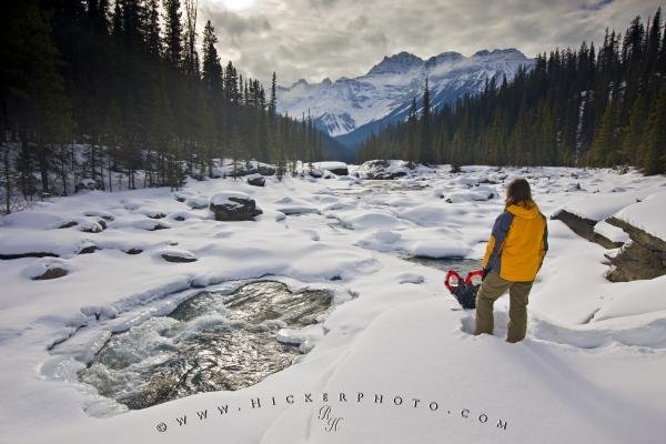 Photo: 
Rocky Mountains Winter Scenery Banff National Park