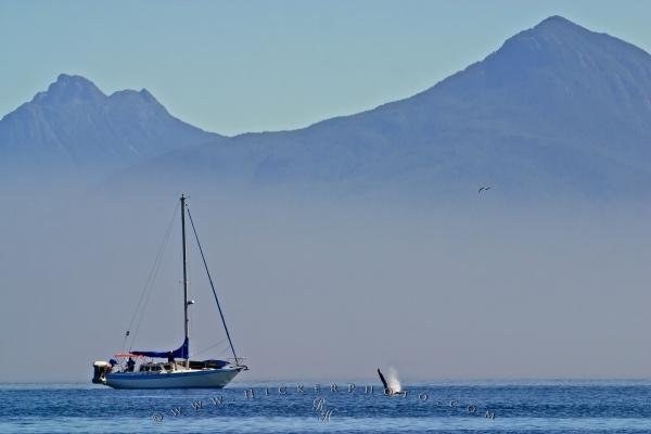 Photo: 
Sailboat Pictures