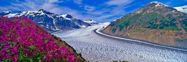 Photo: 
Salmon Glacier Misty Fjords Panoramic