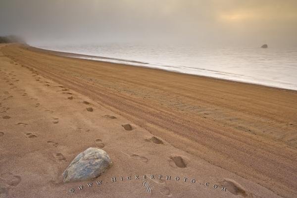 Photo: 
Sand Footprints Pinware Labrador
