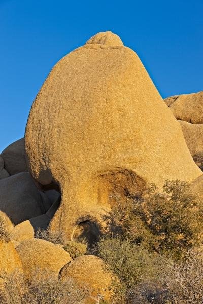 Photo: 
Skull Rock Joshua Tree National Park