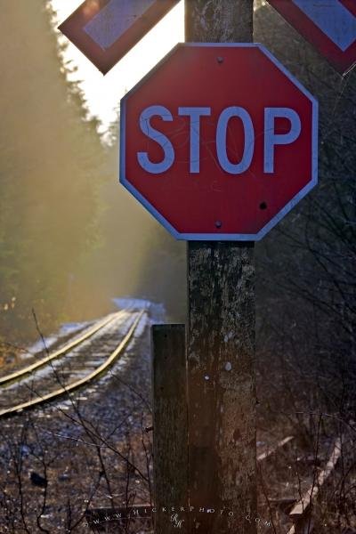 Photo: 
Stop Sign Railway Tracks Picture