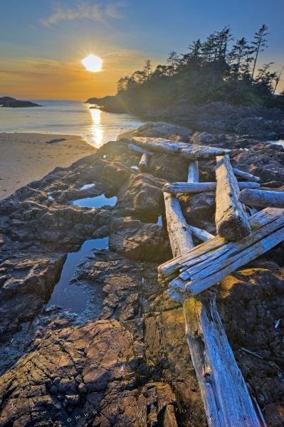 Photo: 
Sun Illuminating Beach Coastline Scenery Pacific Ocean