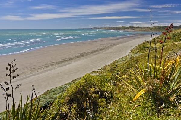 Photo: 
Wainui Beach Waikato NZ