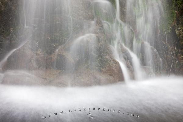 Photo: 
Water Details Temperate Coastal Rainforest Waterfall Picture