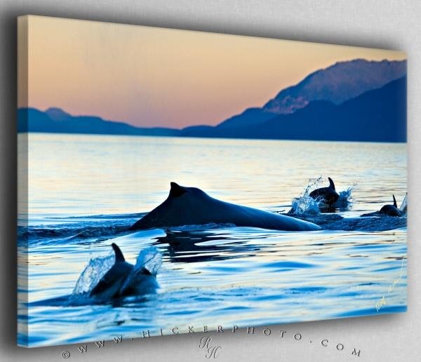 Photo: 
Humpback Whale and Dolphins Canvas Fine Art Photo