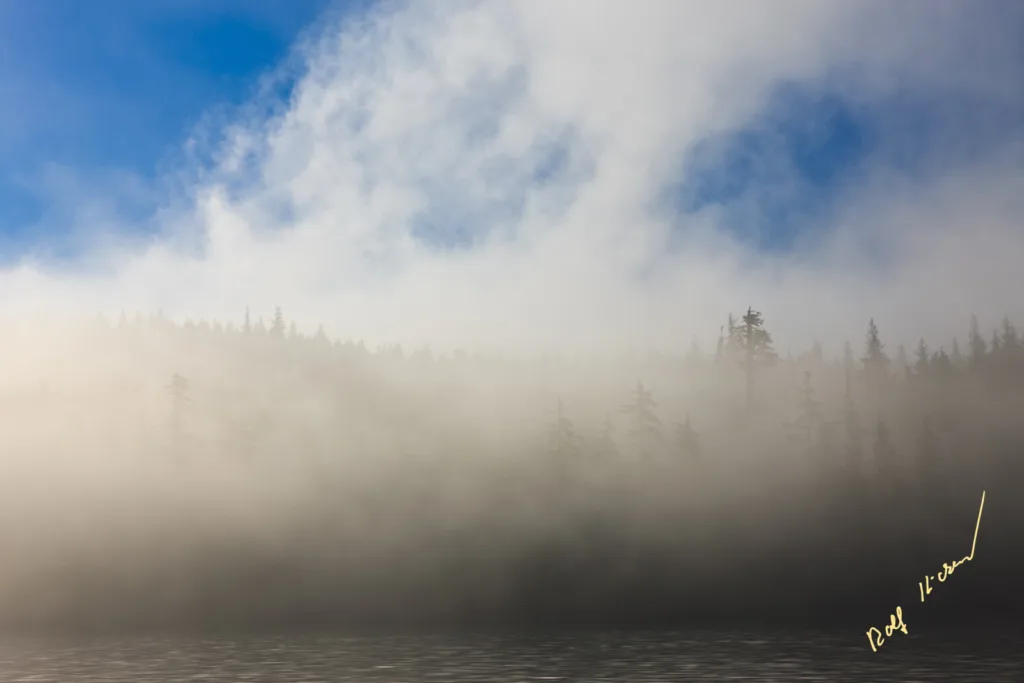 Early Morning Fog Broughton